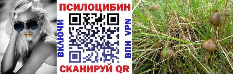 маркетплейс клад  наркошоп  Нерюнгри  Галлюциногенные грибы ЛСД  гидра ТОР 